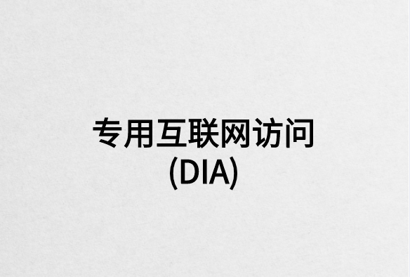 專(zhuān)用互聯(lián)網(wǎng)訪問(wèn)(DIA)