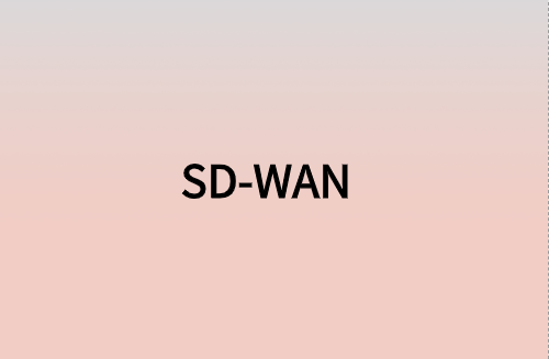 對企業(yè)而言，SD-WAN意味著什么?