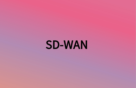 除連接性外，SD-WAN還提供很多網(wǎng)絡(luò)優(yōu)勢